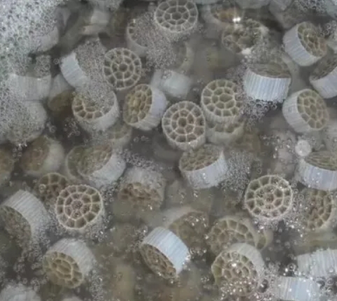 Paano gumagana ang MBBR sa paggamot ng tubig